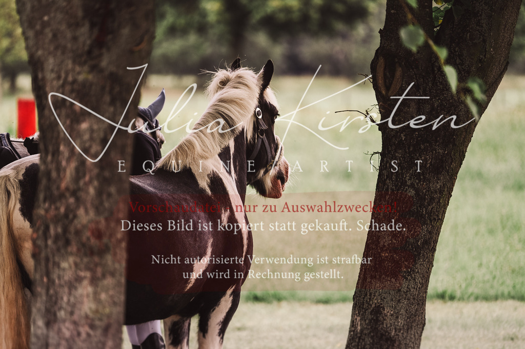 DSC_5738 | Pferde- und Turnierfotografie in Westsachsen. Pferdeportraits, Auftragszeichnungen und intuitive Kunst.