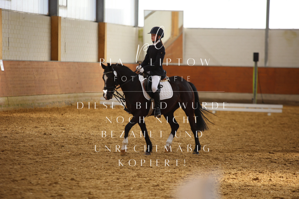 IMGT3629 | pl-fotografie