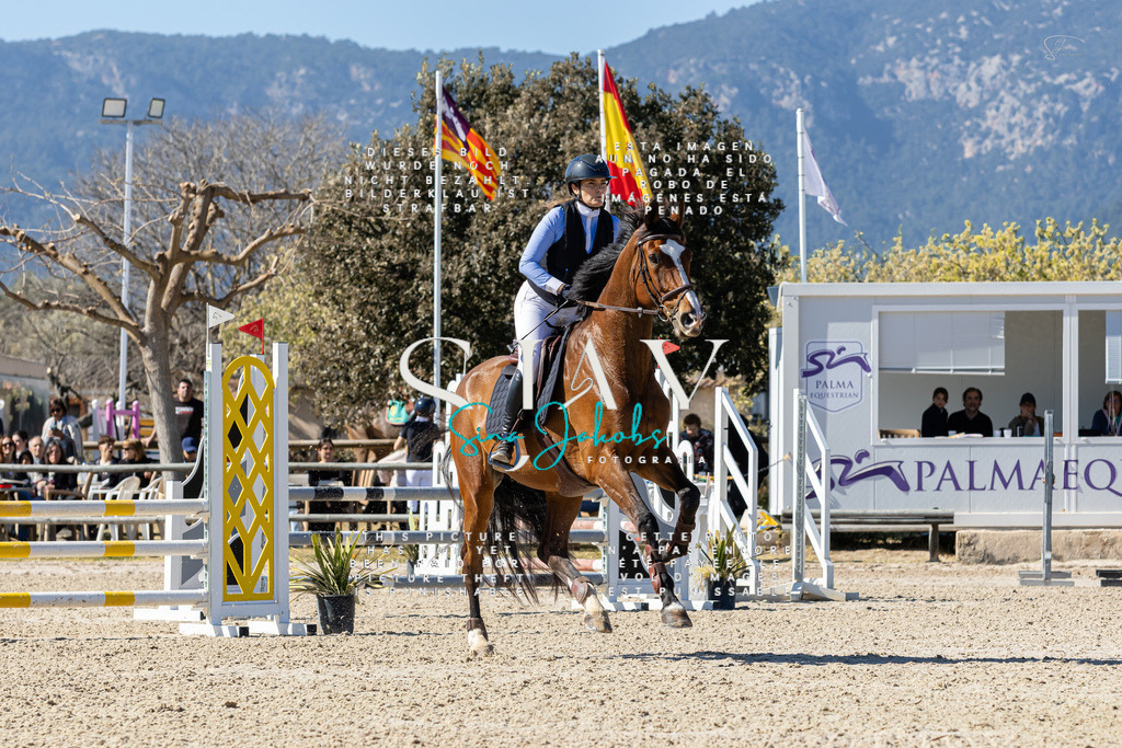 IMG_0160 | s-jay-photography - Realisiert mit Pictrs.com