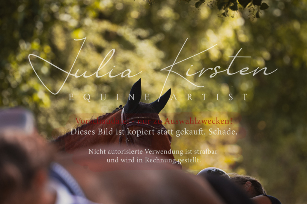 DSC_0595 | Pferde- und Turnierfotografie in Westsachsen. Pferdeportraits, Auftragszeichnungen und intuitive Kunst.