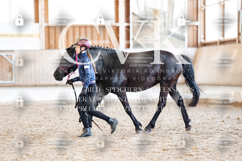 CK906819 | Turnierfotografie Pferdefotografie Trier Rheinland-Pfalz Pferdesport Reitsport Tierfotografie Sportfotografie Pferdevideo Pferdevideografie Equestrianvideography equestrianphotography  - Realisiert mit Pictrs.com