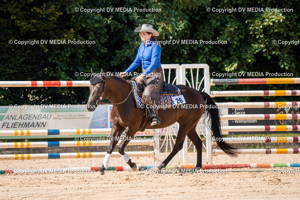 ZH100276 | dv-media-shop - Realisiert mit Pictrs.com