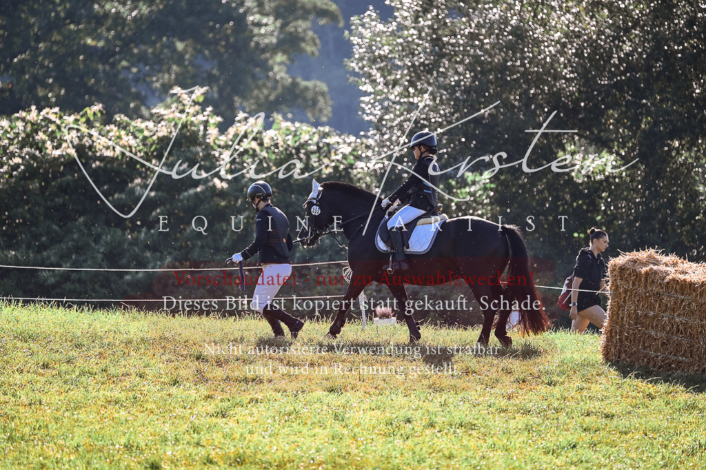 DSC_0368 | Pferde- und Turnierfotografie in Westsachsen. Pferdeportraits, Auftragszeichnungen und intuitive Kunst.