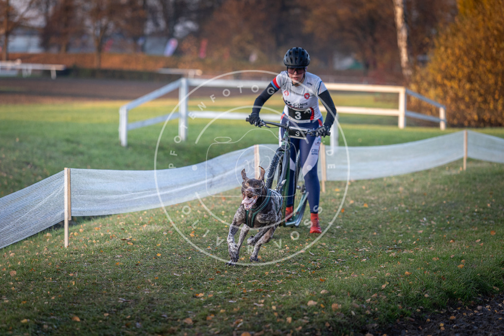 CaniXpix_DV3A9284 | Hundefotografie, Tierfotograf, Pfotenfotografie, Fotoshooting Hund, Hunde Portrait, Hundesport, Hundeportraits, Heideshooting, Hunde, Sportfotograf, Hundefotograf, Turnierhundsport, THS,  - Realisiert mit Pictrs.com