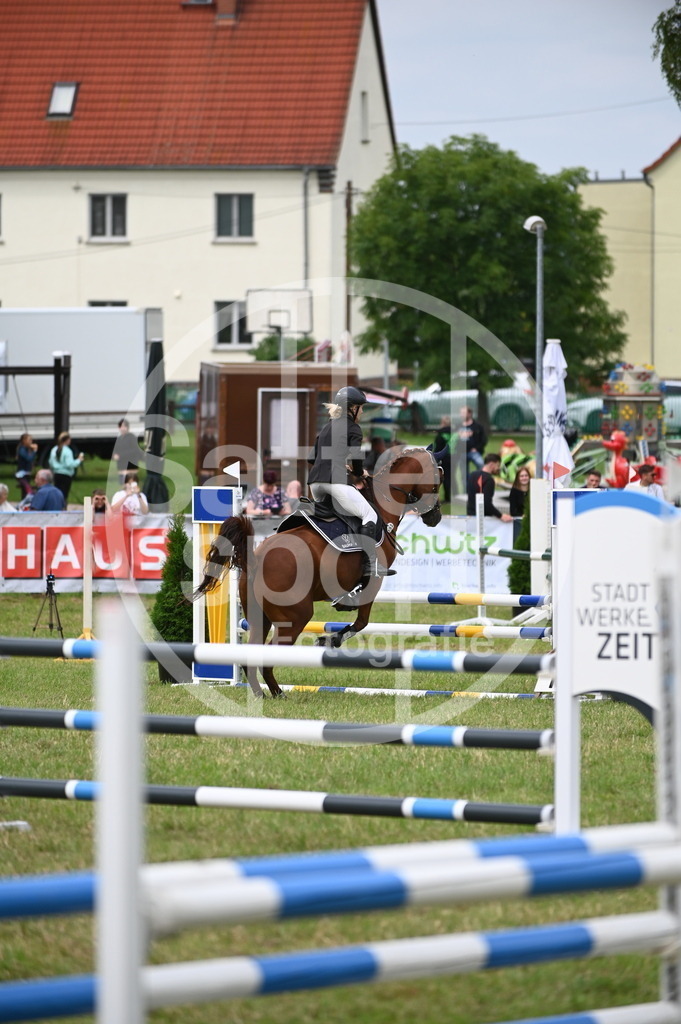 DSC_1932 | sattelsport - Realisiert mit Pictrs.com