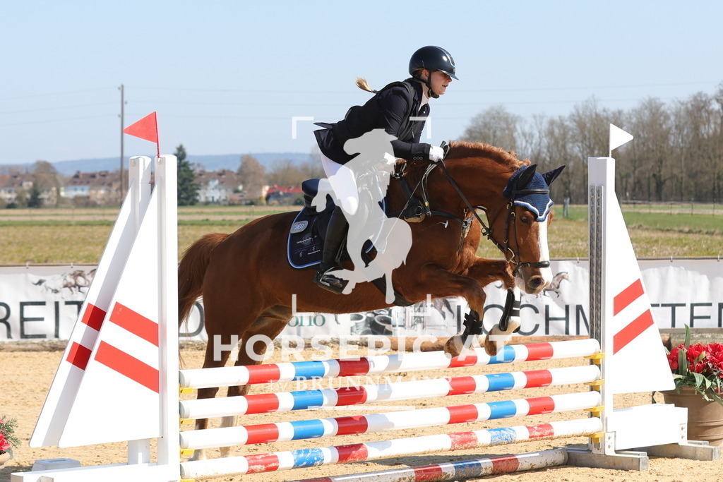 0P6A6582 | Willkommen bei Brunnmayr - Design & Fotografie – Ihrem Spezialisten für Reitturniere und Pferdeveranstaltungen in Oberösterreich, Salzburg und Bayern! Seit über 17 Jahren sind wir leidenschaftlich dabei.