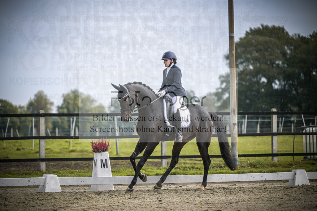DOS_B240 | Entdecke hochwertige Reitturnierfotos von Foto Oger. Professionell, emotional und authentisch – jetzt Lieblingsmomente im Shop bestellen.Deutschlandweite Turnierfotografie. - Realisiert mit Pictrs.com