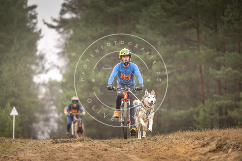 Pfotenfotografie_DV3A3188 | Hundefotografie, Tierfotograf, Pfotenfotografie, Fotoshooting Hund, Hunde Portrait, Hundesport, Hundeportraits, Heideshooting, Hunde, Sportfotograf, Hundefotograf, Turnierhundsport, THS,  - Realisiert mit Pictrs.com