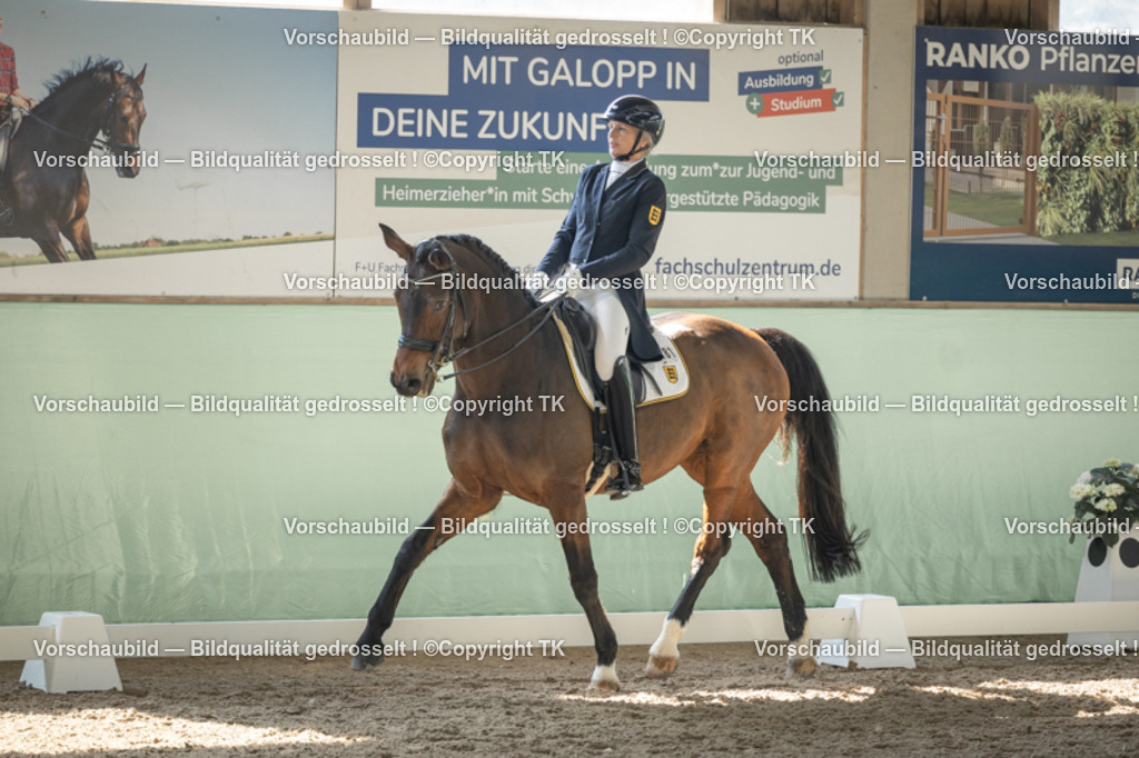 _D5A1509 | Emotionale Pferde- & People-Fotografie rund um Heidelberg, Leimen & Umgebung. Natürliche Fotos von Pferd, Mensch & Familie. Jetzt Termin sichern!