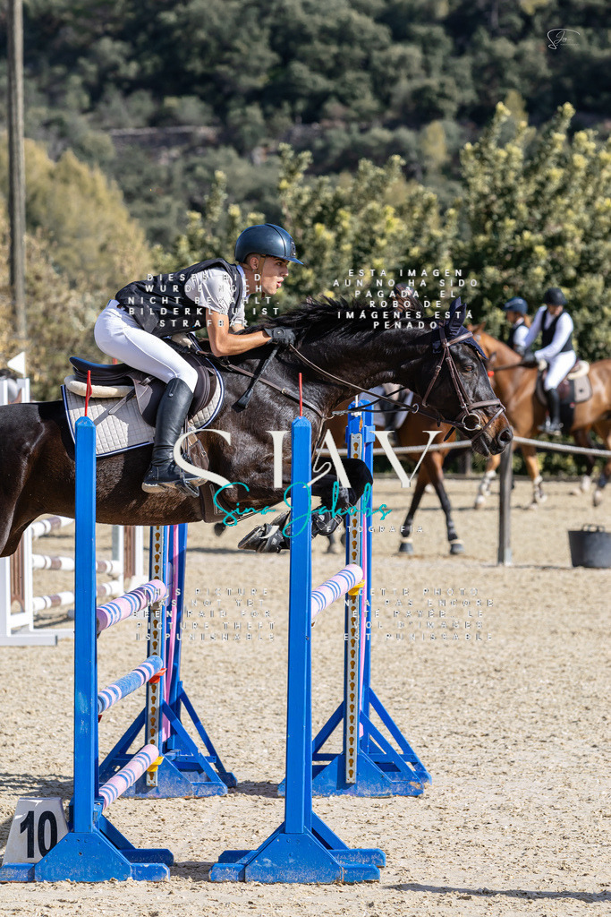 IMG_0407 | s-jay-photography - Realisiert mit Pictrs.com