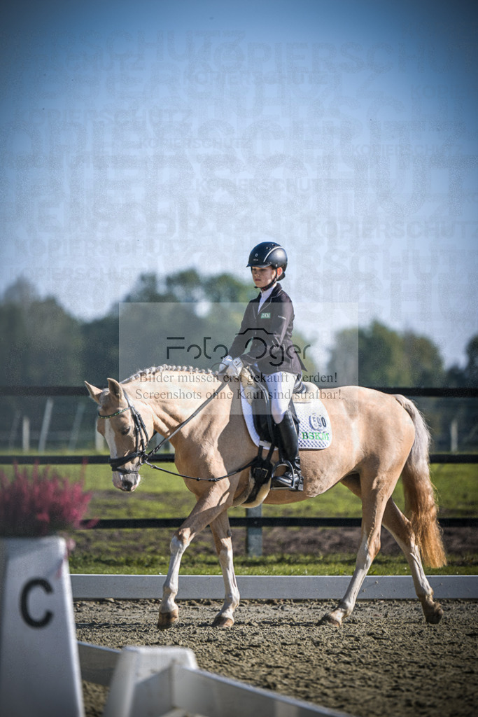 DOS_1817 | Entdecke hochwertige Reitturnierfotos von Foto Oger. Professionell, emotional und authentisch – jetzt Lieblingsmomente im Shop bestellen.Deutschlandweite Turnierfotografie. - Realisiert mit Pictrs.com