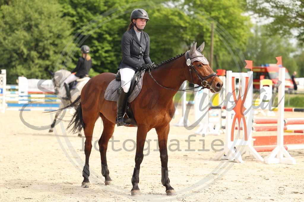 994A7623 | sabrinanicolaifotografie - Realisiert mit Pictrs.com