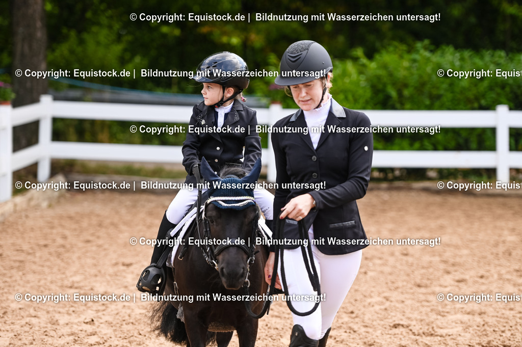 20230716_11_Führzügel-WB_0145 | equistock