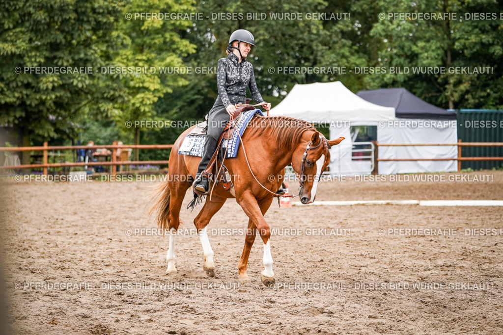 DSC04291 | Pferdegrafie