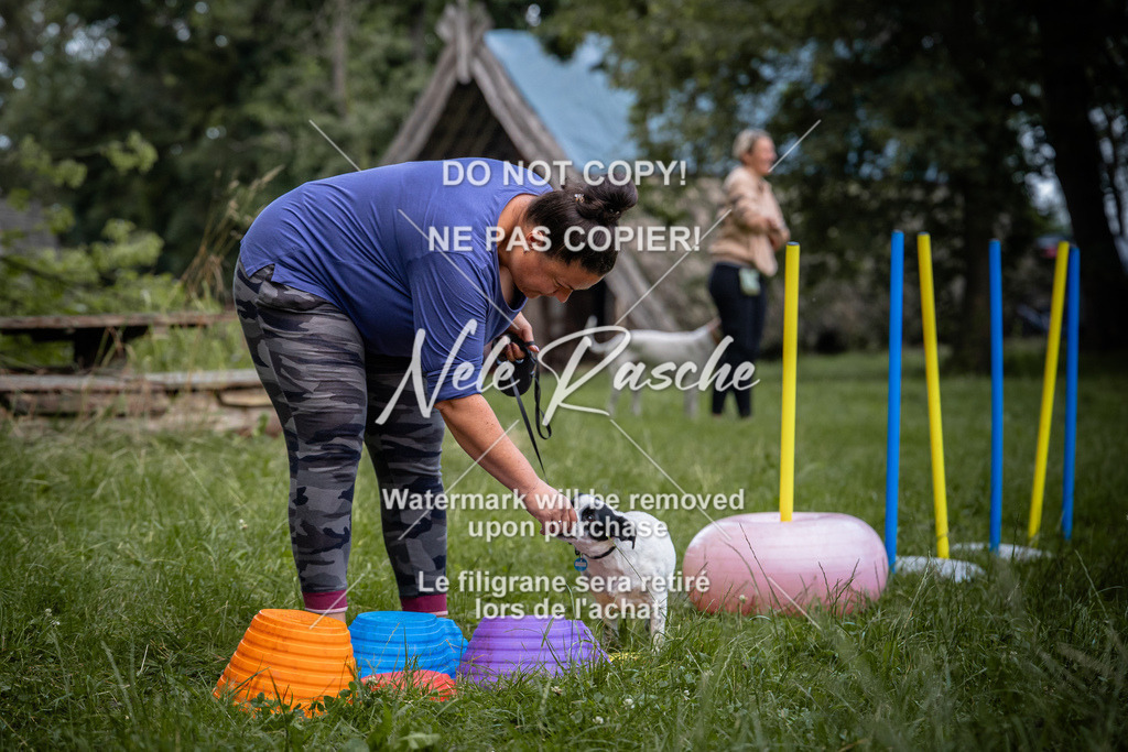 nelerasche_SoEarlyDog_72 | nelerasche