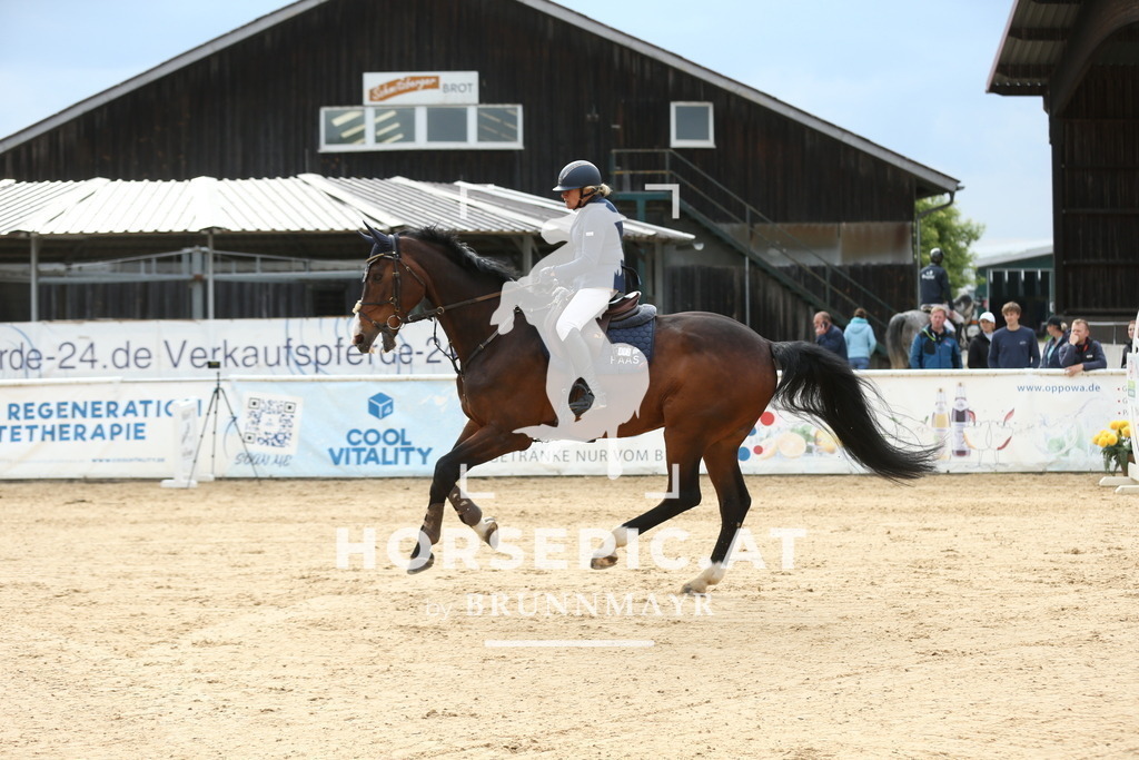 DL2Q4026 | Willkommen bei Brunnmayr - Design & Fotografie – Ihrem Spezialisten für Reitturniere und Pferdeveranstaltungen in Oberösterreich, Salzburg und Bayern! Seit über 17 Jahren sind wir leidenschaftlich dabei.