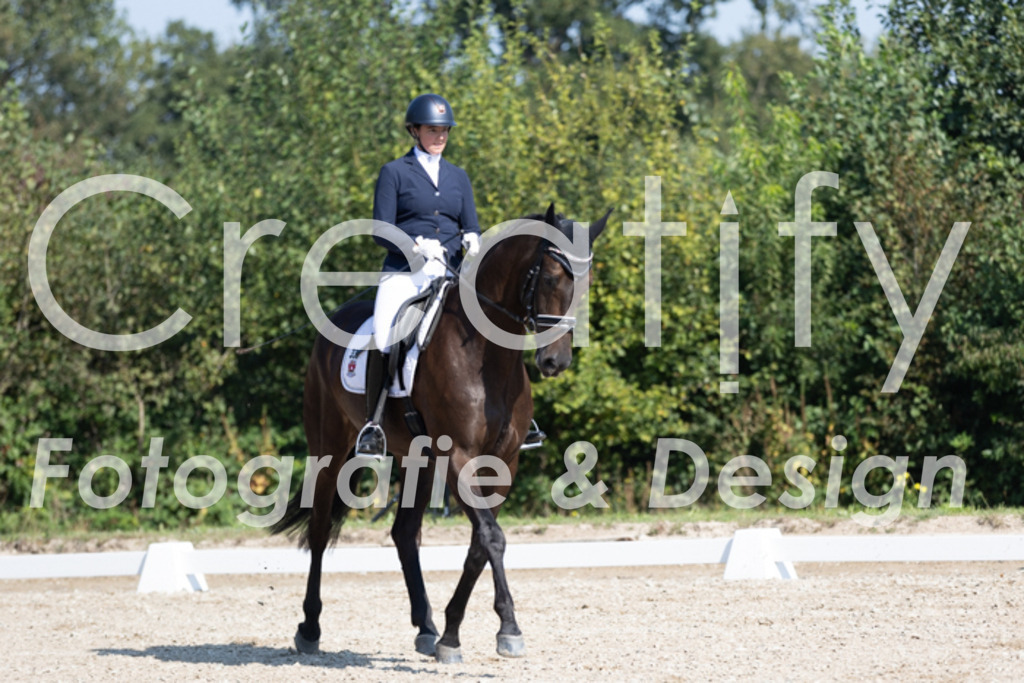 IMG_5215 | Creatify Fotografie