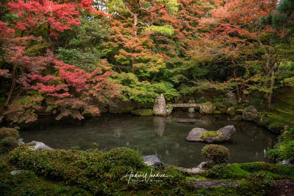 Garten des Lebens | Andre Wandrei - Nature Artworx - Realisiert mit Pictrs.com