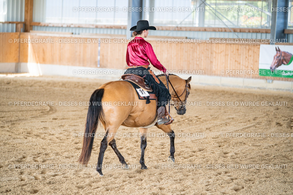 DSC03318 | Pferdegrafie