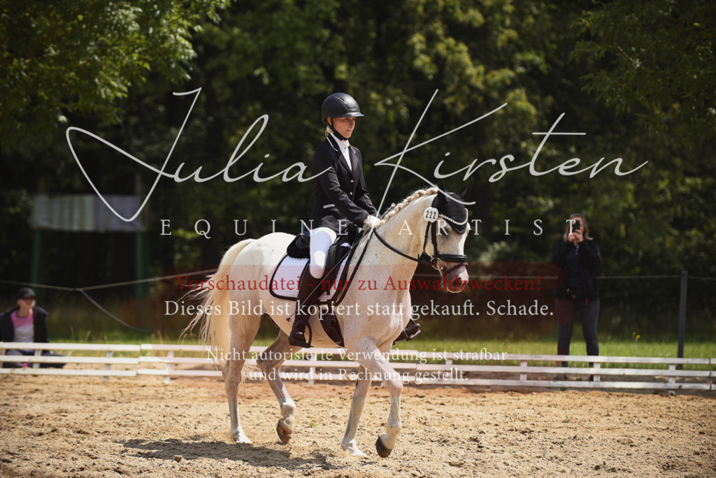 DSC_1135 | Pferde- und Turnierfotografie in Westsachsen. Pferdeportraits, Auftragszeichnungen und intuitive Kunst.