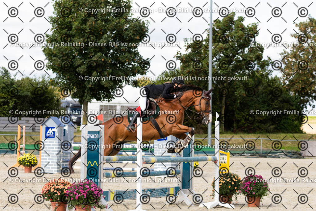 CL5A1551 | Emilia Reinking Fotografie - Realisiert mit Pictrs.com