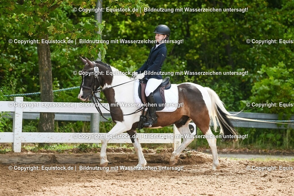 20230716_10-2_Reiter-WB Schritt - Trab - Galopp_0167 | equistock