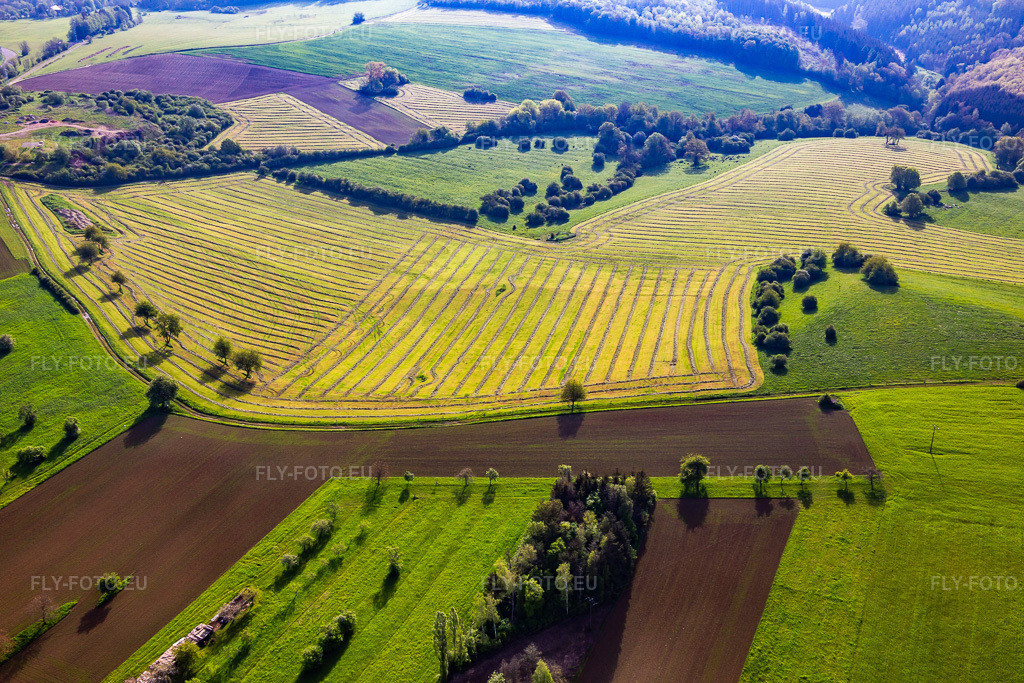 Vue aérienne: Prairies fraîchement fauchées avec des rangées de foin à Petit-Réderching dans le département Moselle, France. Photo: IMG_140665.jpg prise le 01/05/2024 par Werner Riehm/FLY-FOTO.eu – Résolution de l'original: 5472 x 3648 px