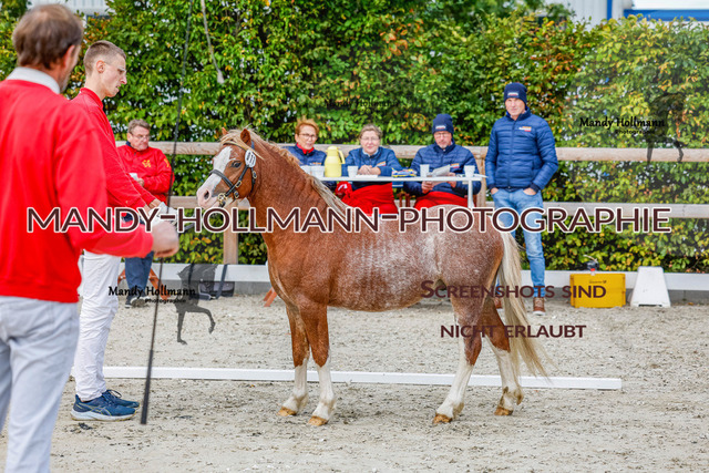 GK (175 von 759) | mandyhollmannphotographie
