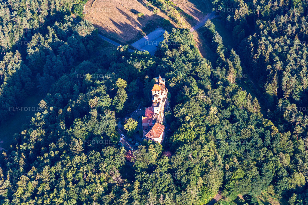 Luftbild: Burg Berwartstein in Erlenbach bei Dahn im Bundesland Rheinland-Pfalz in Deutschland. Foto: IMG_133634.jpg vom 18.07.2022 durch Werner Riehm/FLY-FOTO.deBURGBERWARTSTEIN.DE