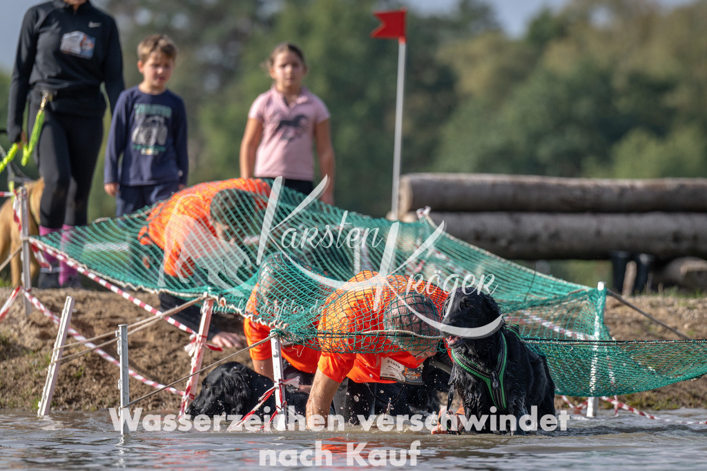 1145_ZZ93947 | kk-dogfotos
