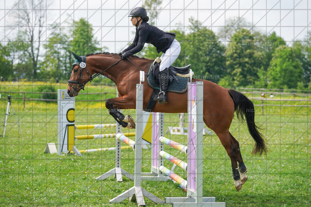 20240509-FAH02760 | Turnierbilder der Turnierfotografen Bayern, Pferdesport Fotografie, Reitsportbilder, Turnier Landberg am Lech, Turnierbilder bayern, Fotoagentur Herrmann