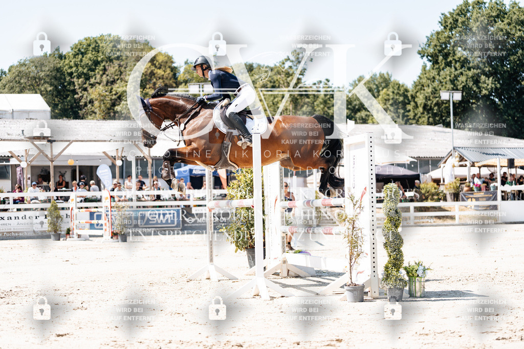 CK909581 | Turnierfotografie Pferdefotografie Trier Rheinland-Pfalz Pferdesport Reitsport Tierfotografie Sportfotografie Pferdevideo Pferdevideografie Equestrianvideography equestrianphotography  - Realisiert mit Pictrs.com
