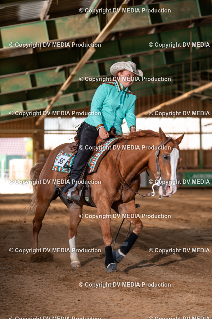 Balingen Tag 2-1437 | dv-media-shop - Realisiert mit Pictrs.com