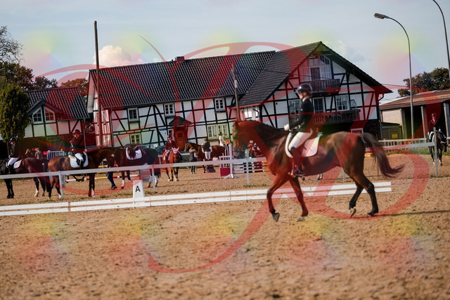 2026_10_03_Siefer-Hof_131023_Z63_72769532 | Professionelle Reitsport-, Turnier- und Eventfotografie von Robert Broda. Galerien mit ausgewählten und bearbeiteten Bildern direkt online ansehen und bestellen.