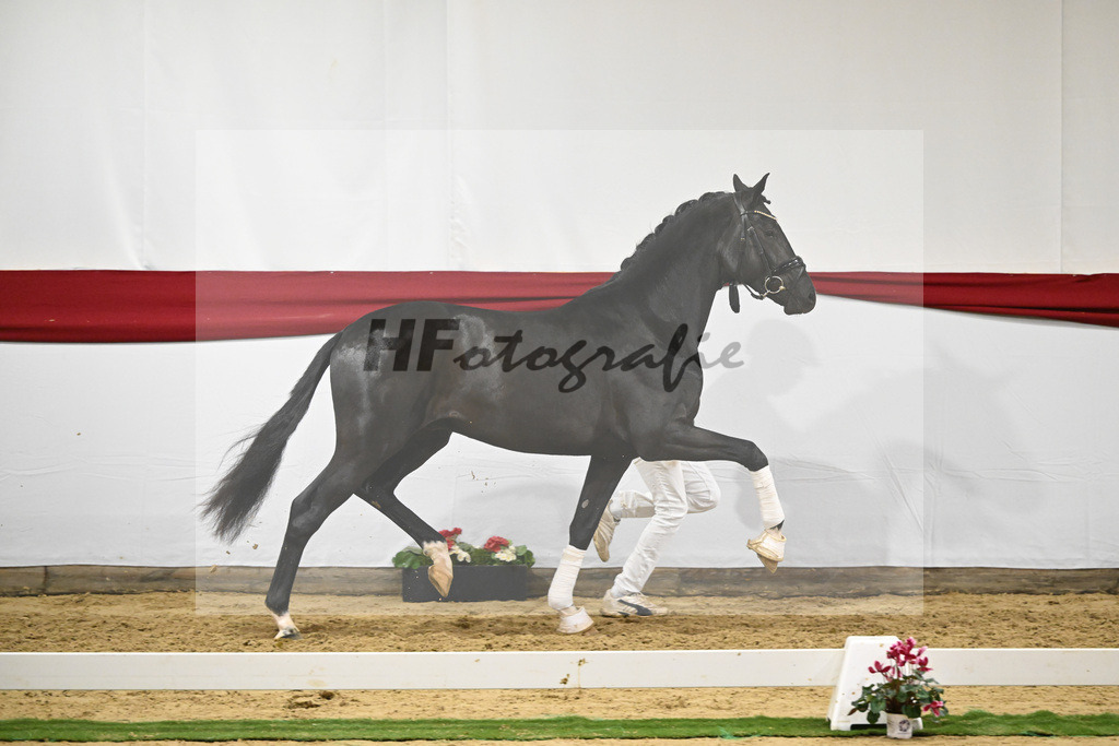 Kat-Nr. 69 v. Secret_Reich_63222049 | hf-fotografie - Realizzato con Pictrs.com