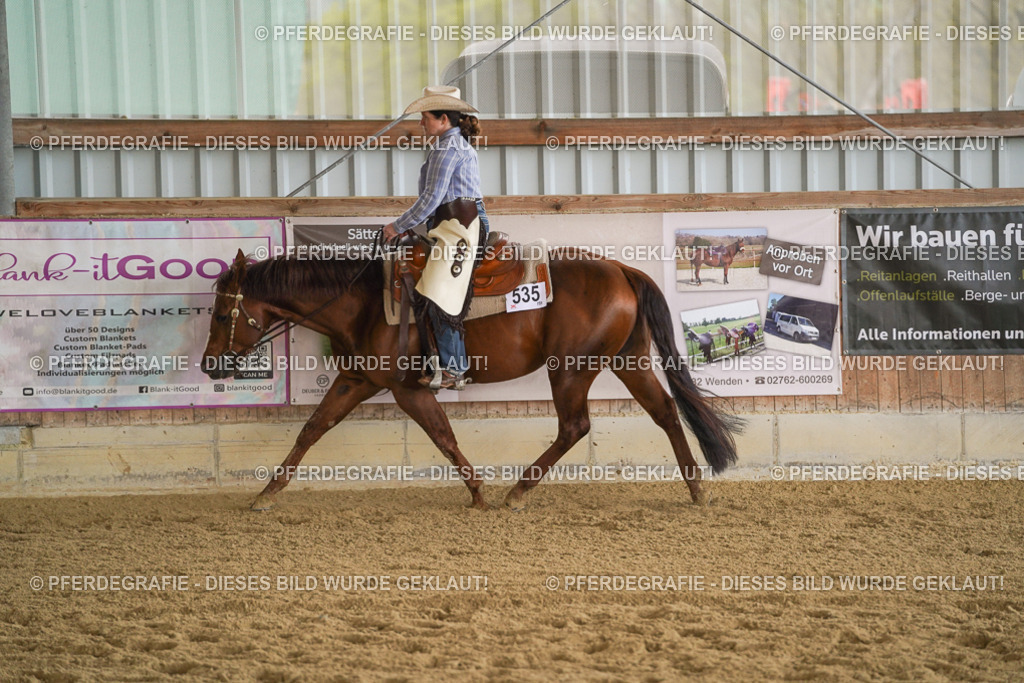 DSC09052 | Pferdegrafie