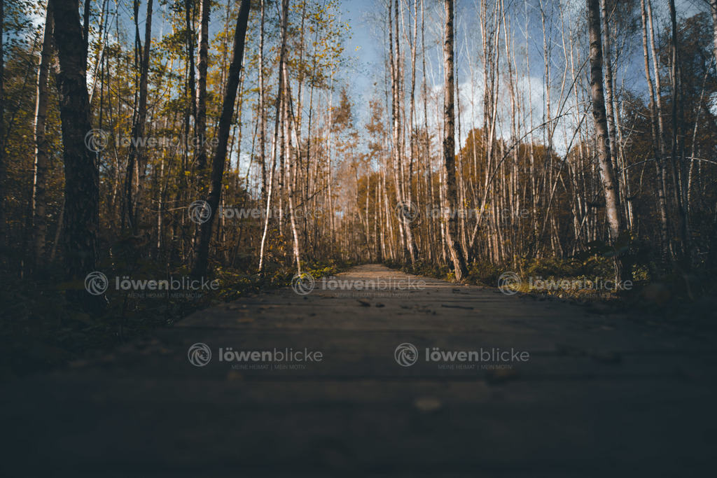 Schwebender Pfad beim Schloss Filseck im Herbst | löwenblicke | shop