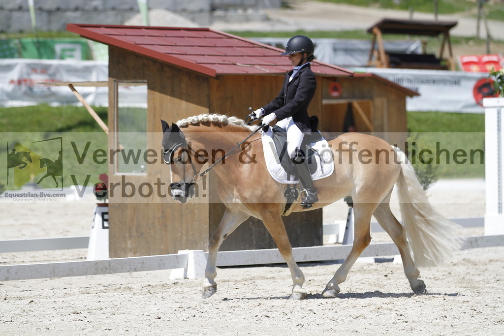 _MG_5053 | equestrian-live-com