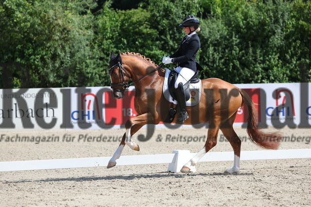 Weilheim_2025_Prfg.Nr.26_Pony-Reitpferdeprüfung_Michele Schulmerig_Next Dancer C (9) | Alle Fotos der Reiterjournal Fotografin Doris Matthaes im Reiterjournal Online-Fotoshop. - Realisiert mit Pictrs.com
