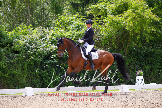 DKP41091 | Turnierfotos kaufen im Webshop von Daniel Kuhl Photography – entdecke professionelle Reitsportfotos aus Turnieren & Events. Hochwertige Turnierbilder online bestellen & sichern. Jetzt Fotos von Reitsportturnieren kaufen!