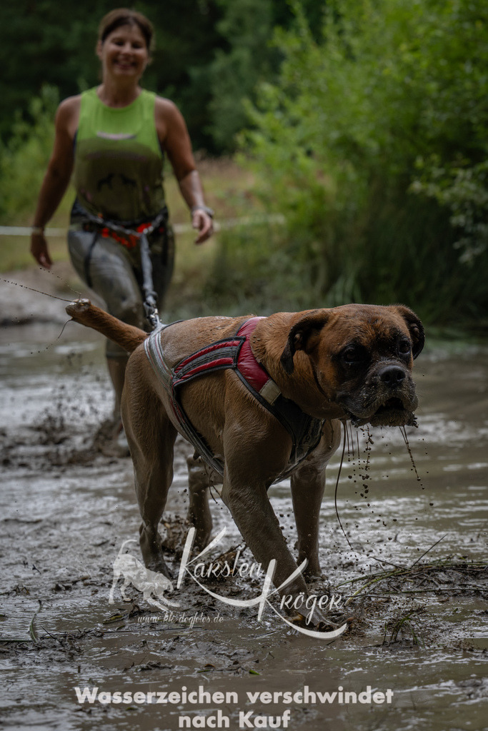 1436_ZZ92056-2 | kk-dogfotos