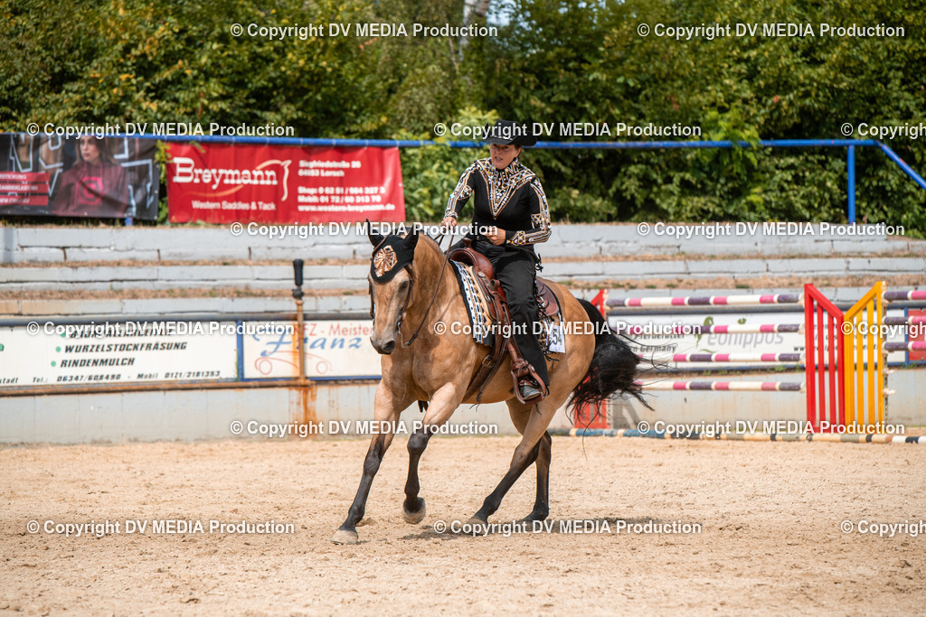 EWP_6017 | dv-media-shop - Realisiert mit Pictrs.com