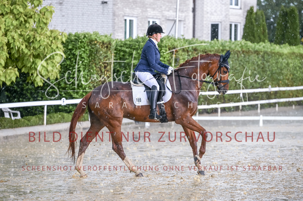 Schugtsche-Aluta25-54.Dressurprf.L1Trense-47 | Schugtsche Fotografie - Realisiert mit Pictrs.com