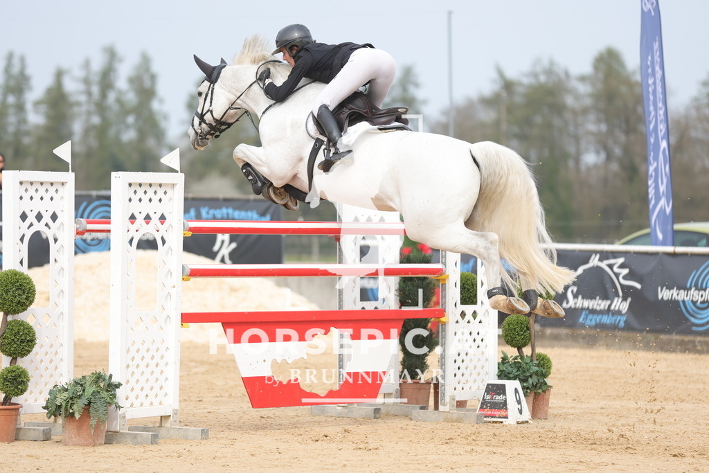 0P6A7073 | Willkommen bei Brunnmayr - Design & Fotografie – Ihrem Spezialisten für Reitturniere und Pferdeveranstaltungen in Oberösterreich, Salzburg und Bayern! Seit über 17 Jahren sind wir leidenschaftlich dabei.
