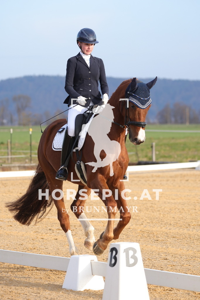 0P6A5939 | Willkommen bei Brunnmayr - Design & Fotografie – Ihrem Spezialisten für Reitturniere und Pferdeveranstaltungen in Oberösterreich, Salzburg und Bayern! Seit über 17 Jahren sind wir leidenschaftlich dabei.