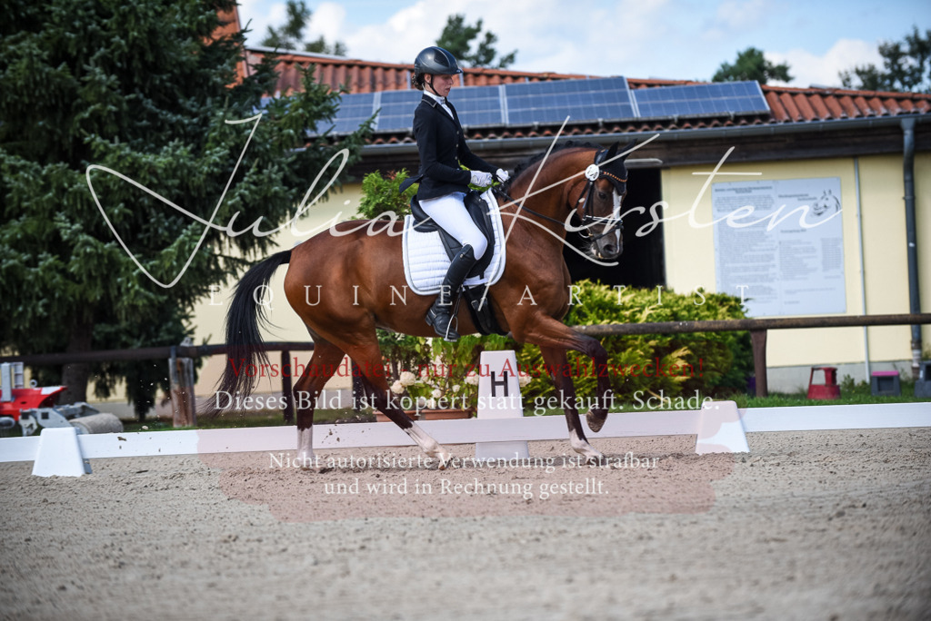 DSC_9494 | Pferde- und Turnierfotografie in Westsachsen. Pferdeportraits, Auftragszeichnungen und intuitive Kunst.