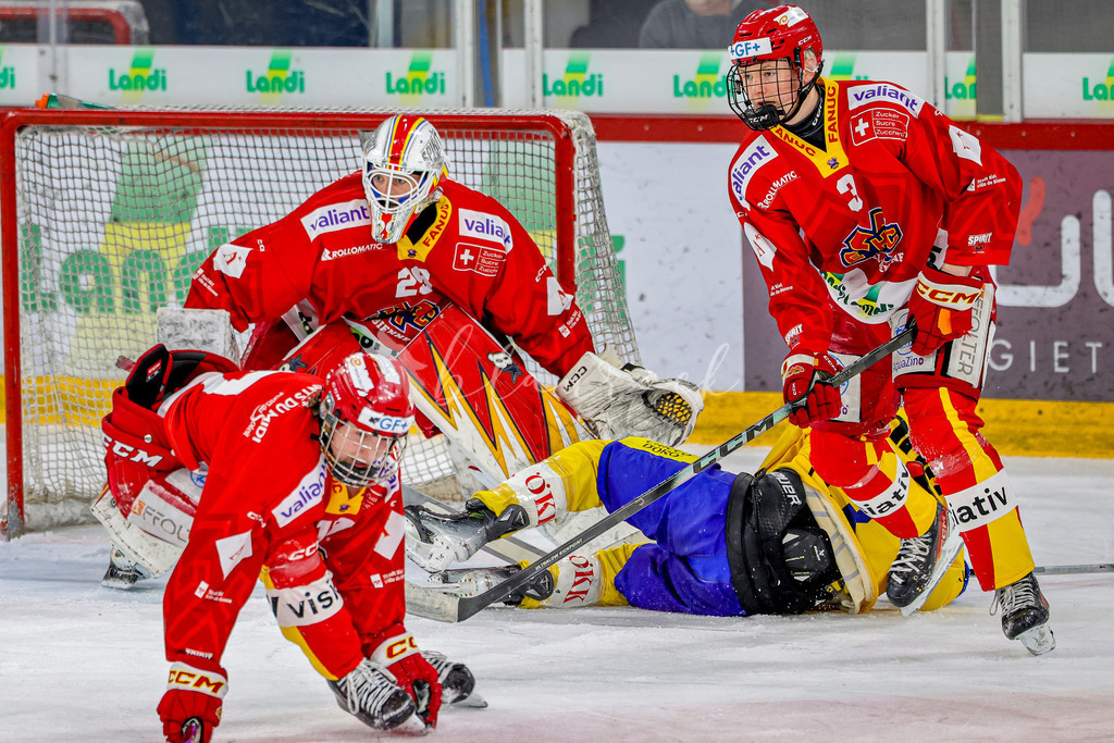 EHCB vs HCD-0771 | Sportbilder, Sportfotograf, Hochzeits- und Eventfotografin, Flugshows, Portraits und Tiershooting, Aviation, Downhill, Nationalleague, Swissleague, International