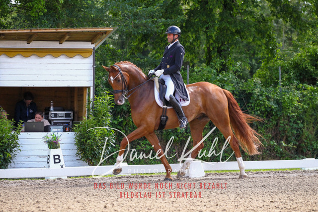 DKP41320 | Deine Turnierfotos vom Reitturnier online kaufen: Dressur, Springen & Siegerehrung. Professionelle Pferdefotografie aus dem Rheinland – als Download & Print.Alternative: Turnierfotograf für den Pferdesport: Finde deine Fotos von Dressur- und Springturnier