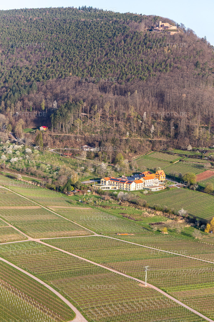 Luftbild: Wohlfühlhotel Alte Rebschule und Gasthaus Sesel im Frühling in Rhodt unter Rietburg im Bundesland Rheinland-Pfalz in Deutschland. Foto: IMG_126299.jpg vom 04.04.2021 durch Werner Riehm/FLY-FOTO.de