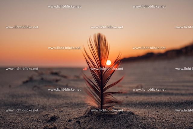 FXT28360 | lichtblicke - Realisiert mit Pictrs.com